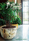 Summer '21 Issue #8 is now live!!