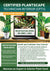 Full page ad W 210mm x H 297mm ad